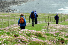 Scotland-Coast-Orkney Isles Wilderness Walk